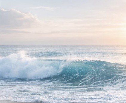 Personal Accompaniment